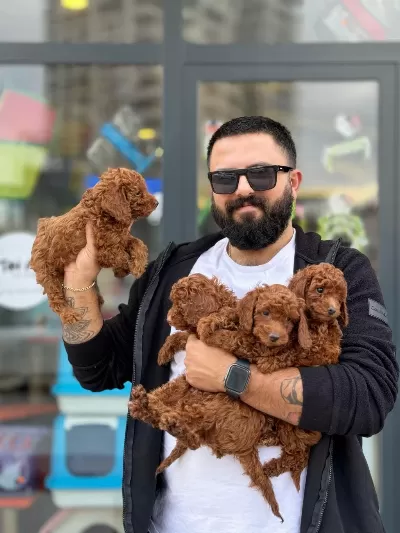 Çağrı Çemçemin Sizin İçin Seçtiği Yavrular