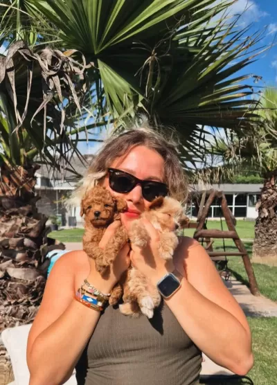 Teacup Maltipoo Bebekleri Sizleri Bekliyor