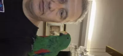 Eclectus Erkek 1 Yaşında