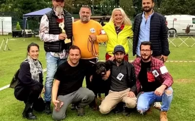 Fci A Şecereli Şampi Yon Yavrulari I St Kocaeli Ankara I Zmir