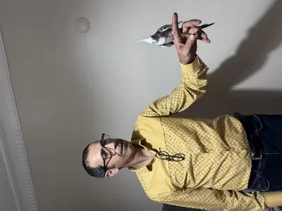 Ele Alişik Sultan Papağani