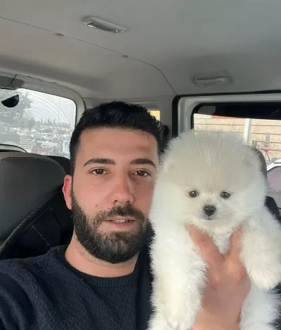 Pomeranian Boo Bebekler