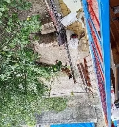 En Güzel Dost En Saf Sevgi