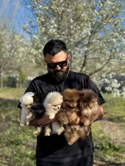 Ankaranın Tek Pet Danışmanlığı