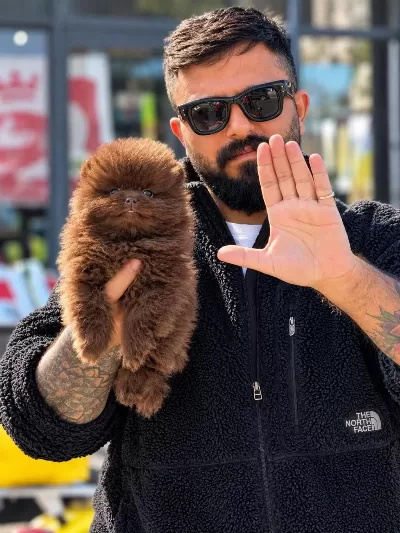 Ankaranın Tek Pet Danışmanlığı