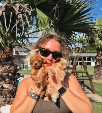 Bi R Bi Ri Nden Güzel Teacup Poodle Yavrulari
