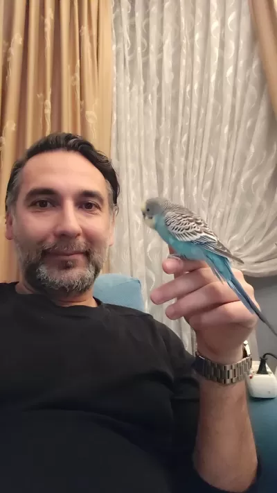 2 Yaş Konuşan Ele Alışkın Erkek Muhabbet Kuşu