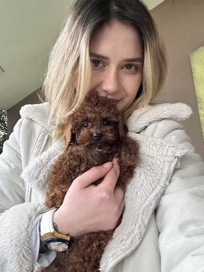 12 Yıllık Üreticiden Toy Poodle Yavruları