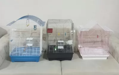 Takasa Açik Kafes Çeşitleri