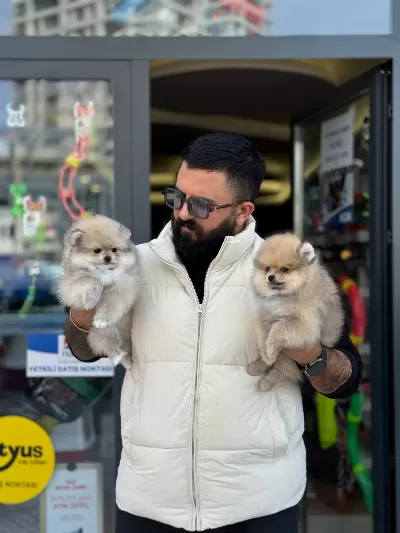 Ankaranın Tek Pet Danışmanlığı