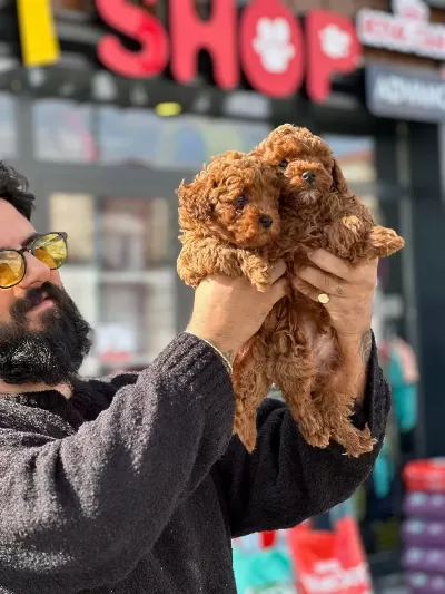 Keçiören Ve Çankayada Bayimiz Mevcuttur