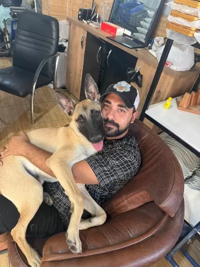 10 Aylık Malinois Oğlumuza Yuva Arıyoruz