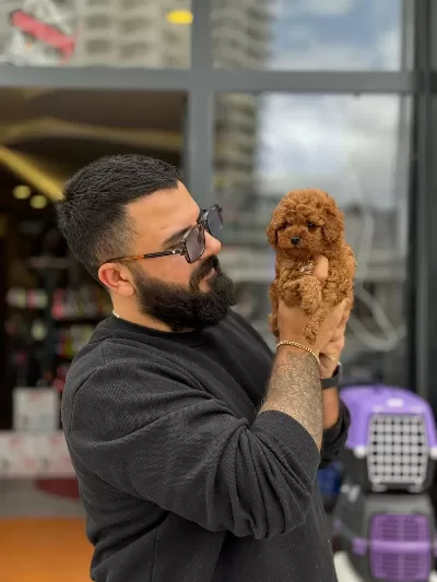 Çağrı Çemçemin Kataloğunun Şampiyonu