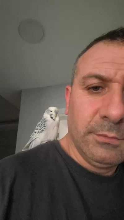 Show Jumbo 6 Aylık Erkek Ele Kola Alışkın 3 Kelime Muhabbet