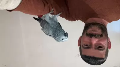 Uysal Ecil Olan Paşamızı Sahiplendirmek Durumundayız.