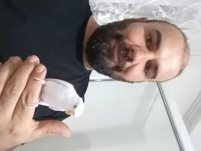 Muhabbet Kuşu Yavru Eğitime Açık