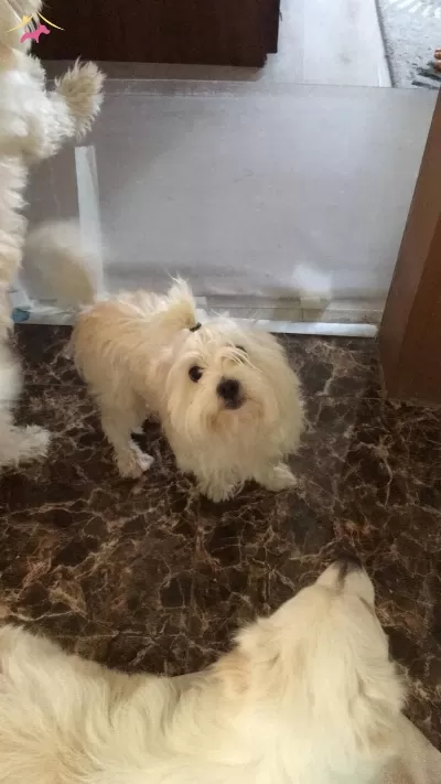 Bu Genc Arkadaslar Yeni Evlerini Bekliyorlar
