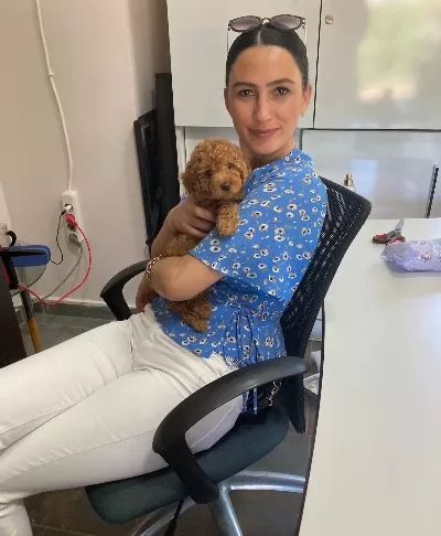 Toy Poddle Yavrularım Sağlık Ve Irk Garantilidir