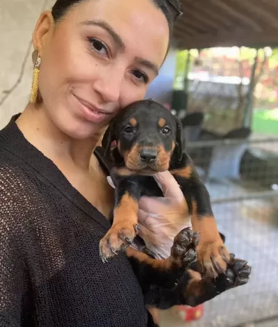Doberman Yavrularım Sağlık Ve Irk Garantilidir