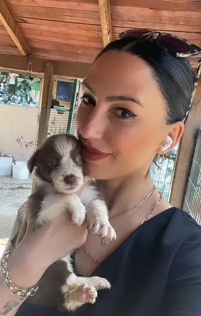 Border Colie Yavrularım Sağlık Ve Irk Garantilidir