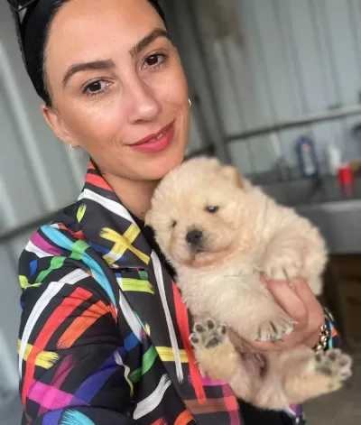 Chowchow Yavrularım Sağlık Ve Irk Garantilidir