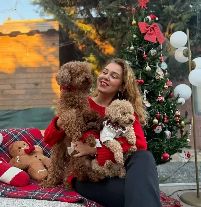 Toy Poodle Yavrularımız