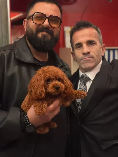 Sosyal Ortamların Yıldızı Toy Poodle Yavrusu