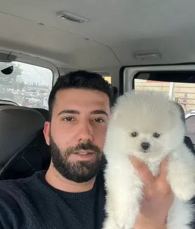 Pomeranian Boo Bebekler
