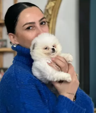 Pomeranian Boo Yavrularım Sağlık Ve Irk Garantilidir