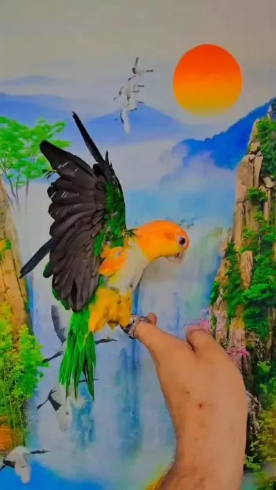 Full Evcil Caique Maskot