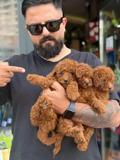 En Sevdiğin Yol Arkadaşın Burda Olabilir