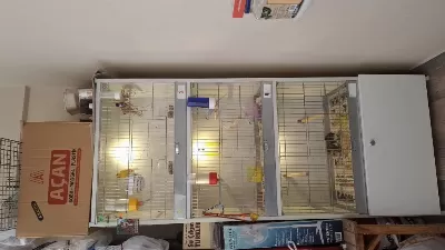 Kafes Sağlam Pvc Temiz 3 Lü Alta Dolaplık Yeri Var