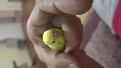 Lutino Muhabbet Kuşumuz İçin Ulaşın