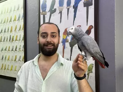 200 Kelime Konuşan Üst Düzey Jako Papağanı