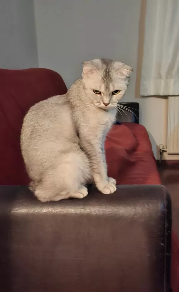 Sağlıklı Sakin Cana Yakın
