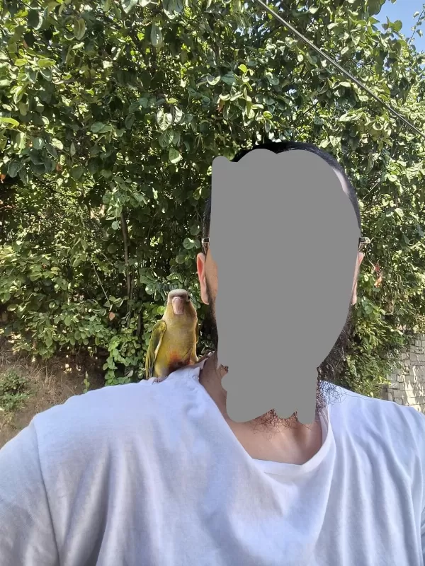 2 Aylık Yavru Konur Son 1 Tane Kaldı