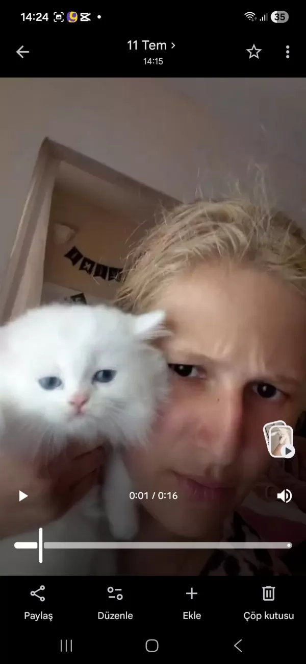 Sağlıklı Tatlı Kedimiz