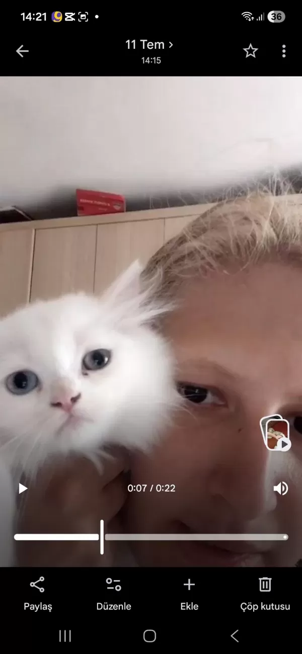 Sağlıklı Tatlı Kedimiz