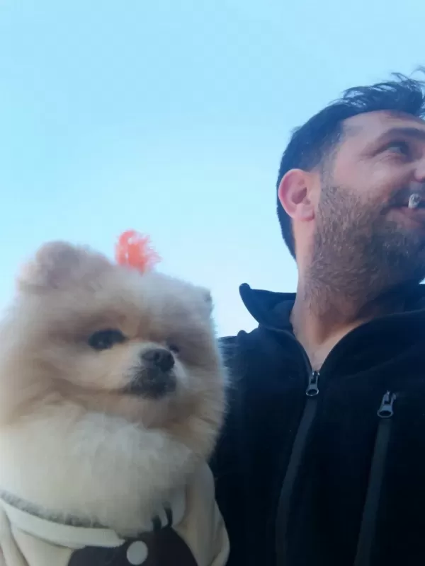 1 Yaşında Damızlık Pomeranian Boo