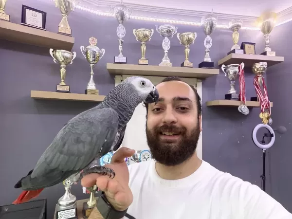 Çok Konuşan Evcil Jako Papağani