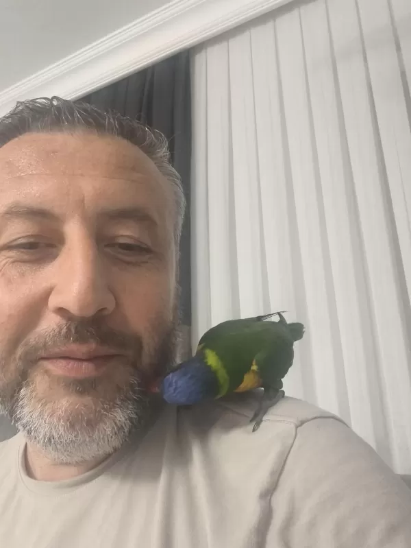 Lori Papağanımız Evcil