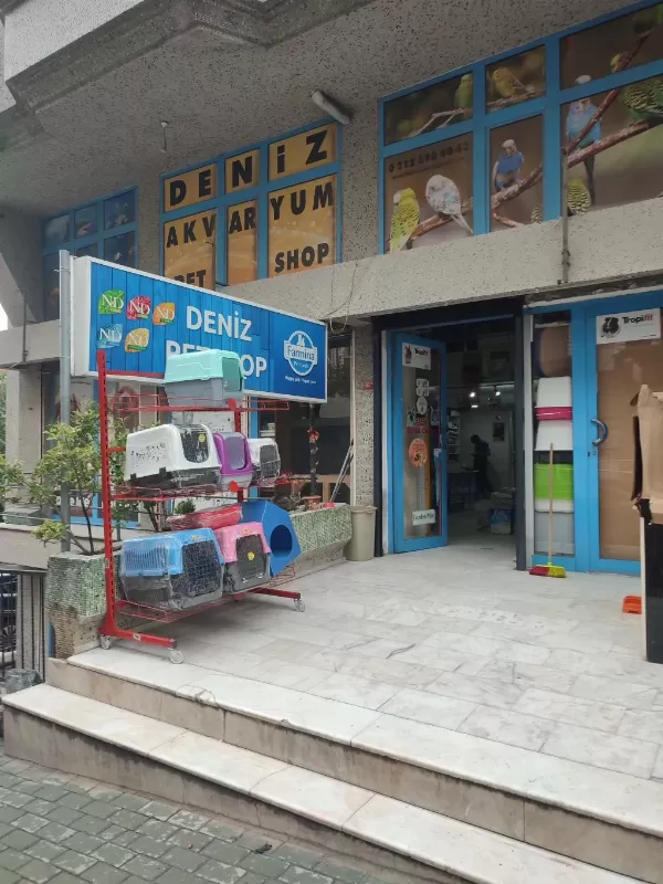 Elden İnmeyen Sultan Papağanları