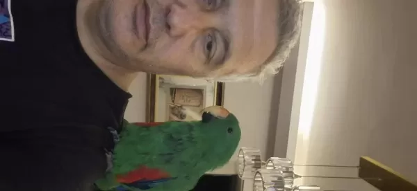 Full Evcil En Az 10 Kel Var Evcimen Kuşumuz