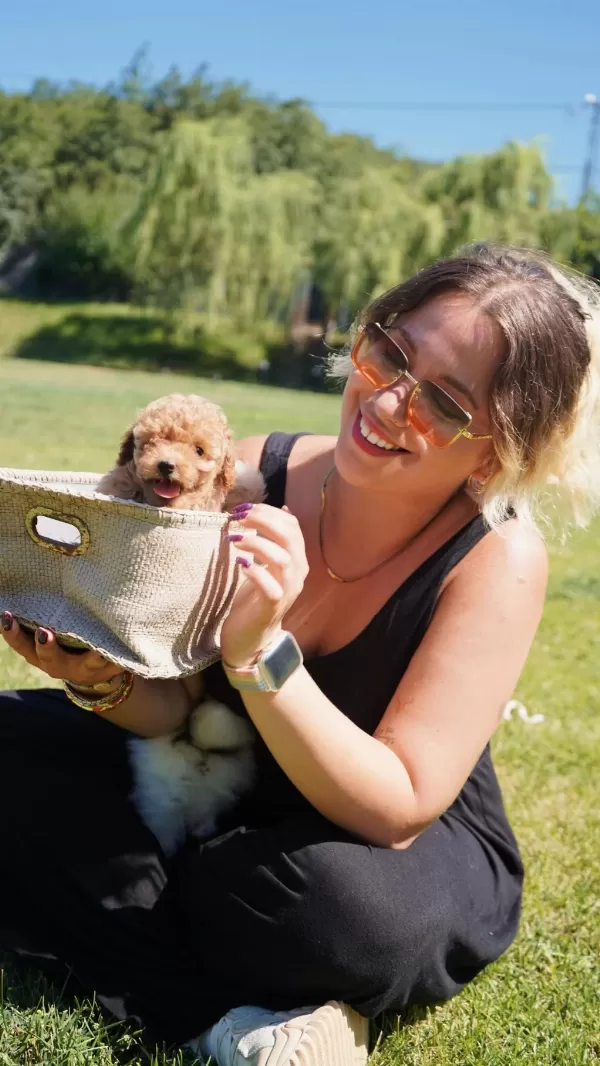 Teddybear Güzelliği Ayicik Yavrularimiz