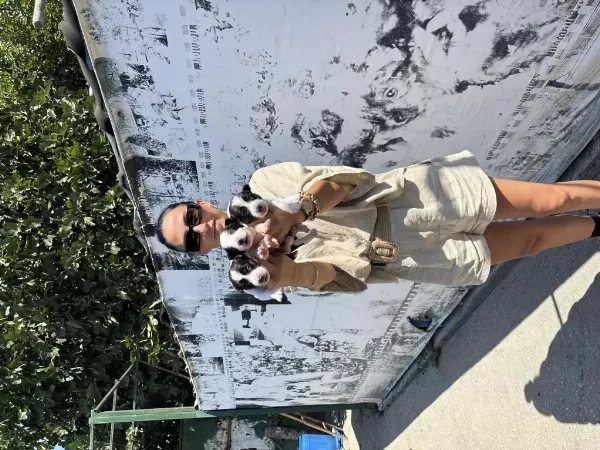 Border Colie Yavrularım Sağlıkla Garantilidir