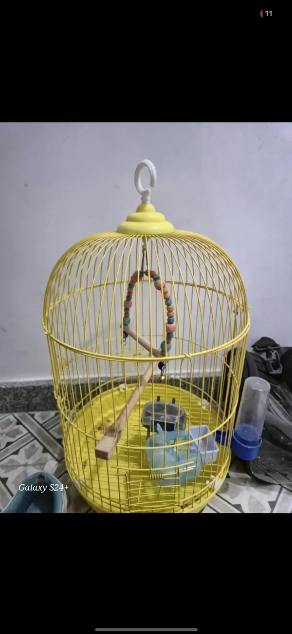 Sağlıklı Muhabbet Kuşumuz