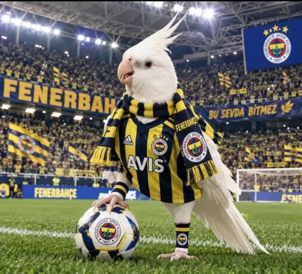 Fanatik Fenerbahçeli Sultan Papağani