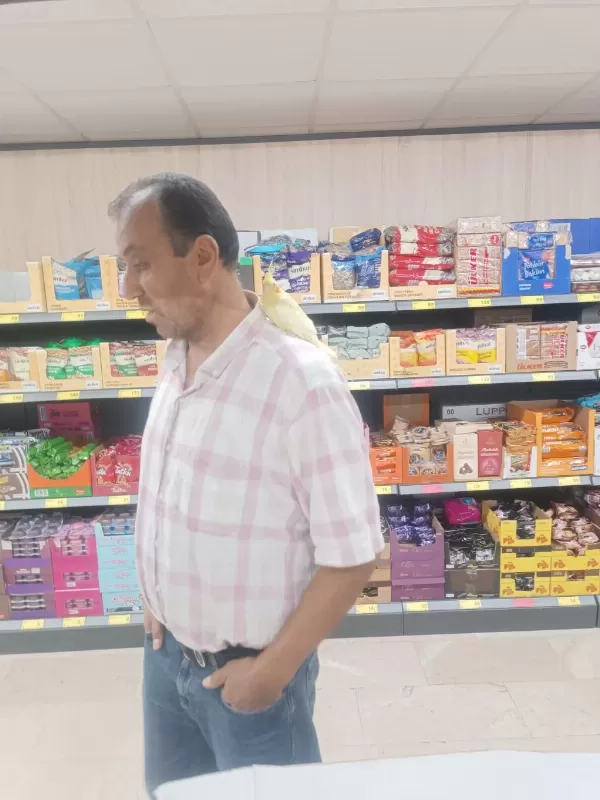 Lutino Kırmız Göz Sultan Papağanı