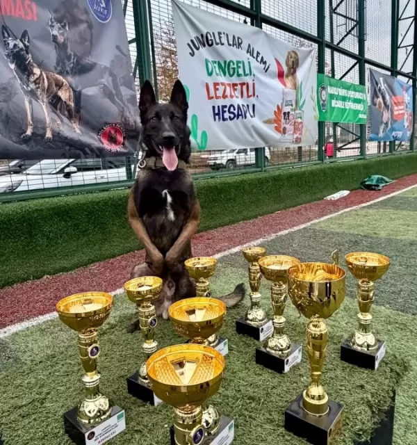 Eği̇ti̇m Merkezi̇nden Yarişma Sinav Köpekleri̇