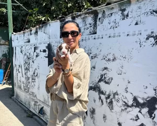 Border Colie Yavrularım Sağlık Ve Garantilidir